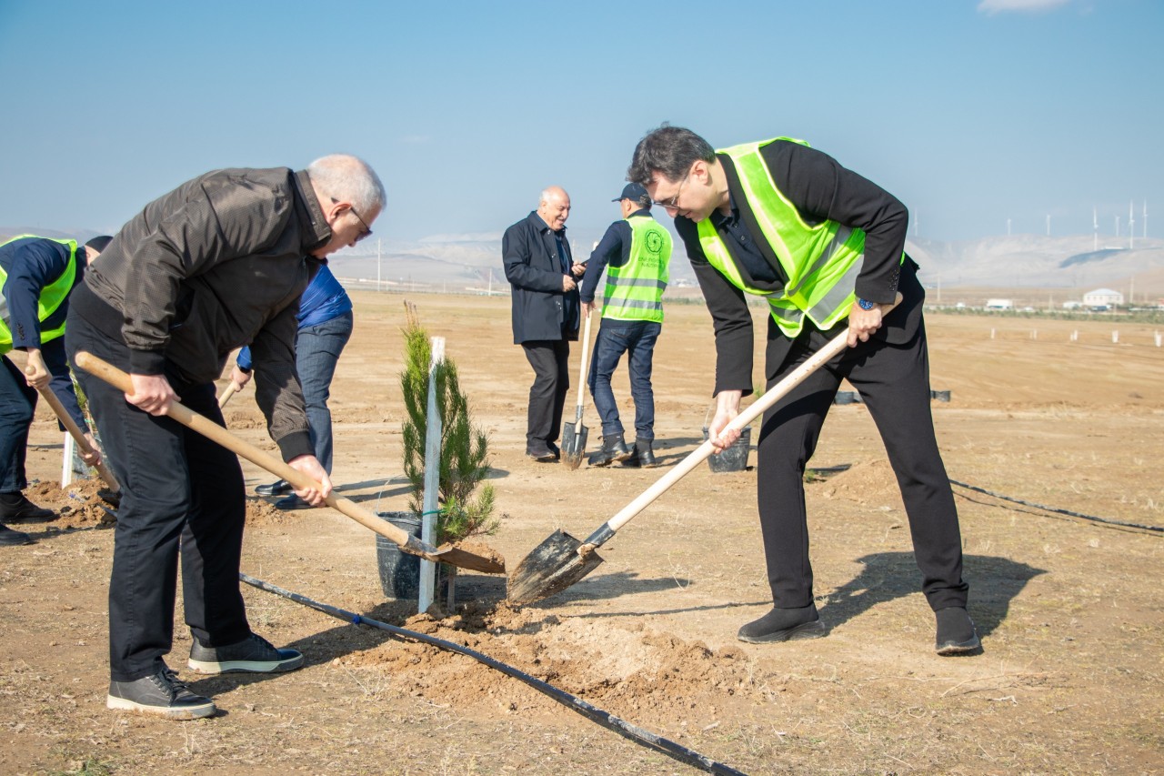 Zəfər Günü ilə əlaqədar ağacəkmə aksiyası keçirildi - FOTOLAR